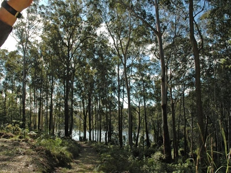 610 Windywoppa Road, Benandarah NSW 2536