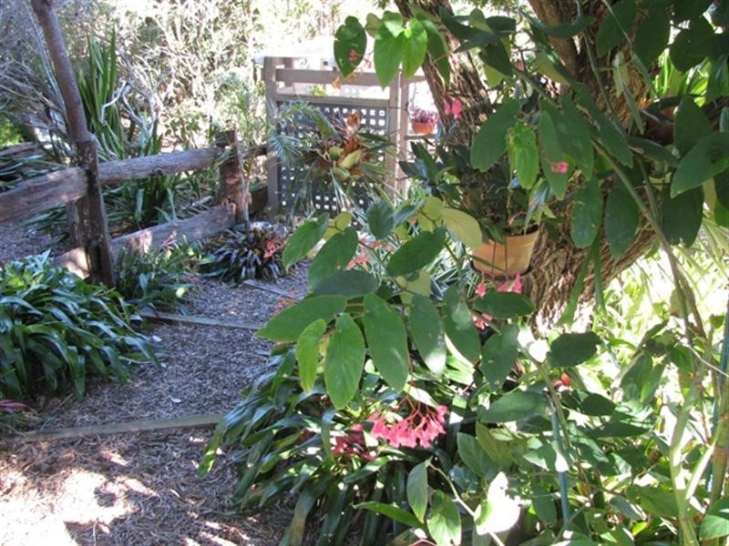 31 Elizabeth Street, Moruya Heads NSW 2537