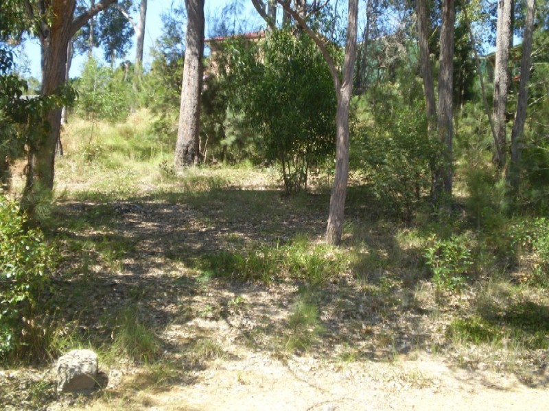 49 Albatross Road, Catalina NSW 2536