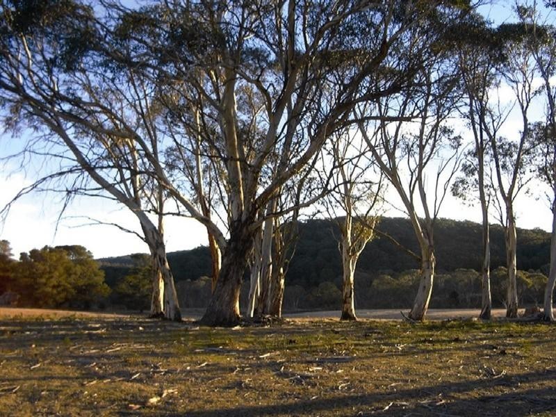 11+12/4608 Kings Highway, Braidwood NSW 2622