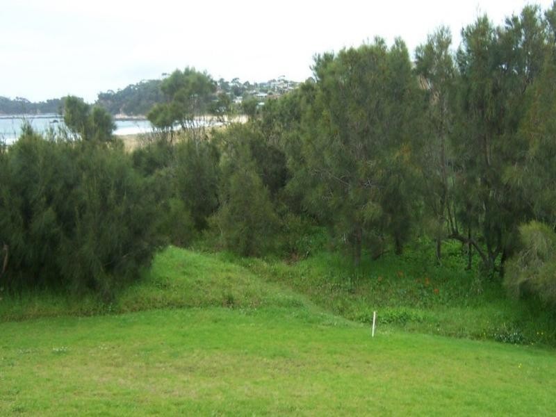 33 Tallawang Avenue, Malua Bay NSW 2536