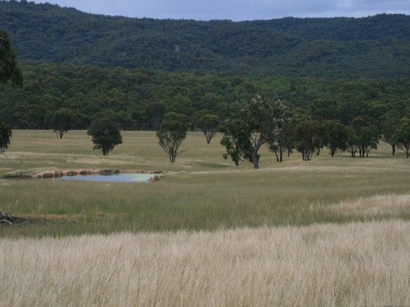 31 Bakers Creek Road, Bundarra NSW 2359