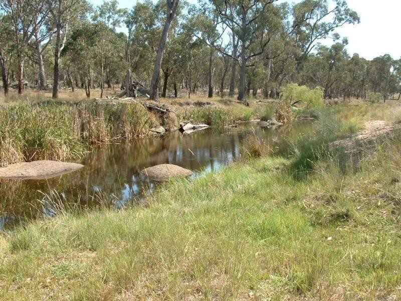 31 Bakers Creek Road, Bundarra NSW 2359