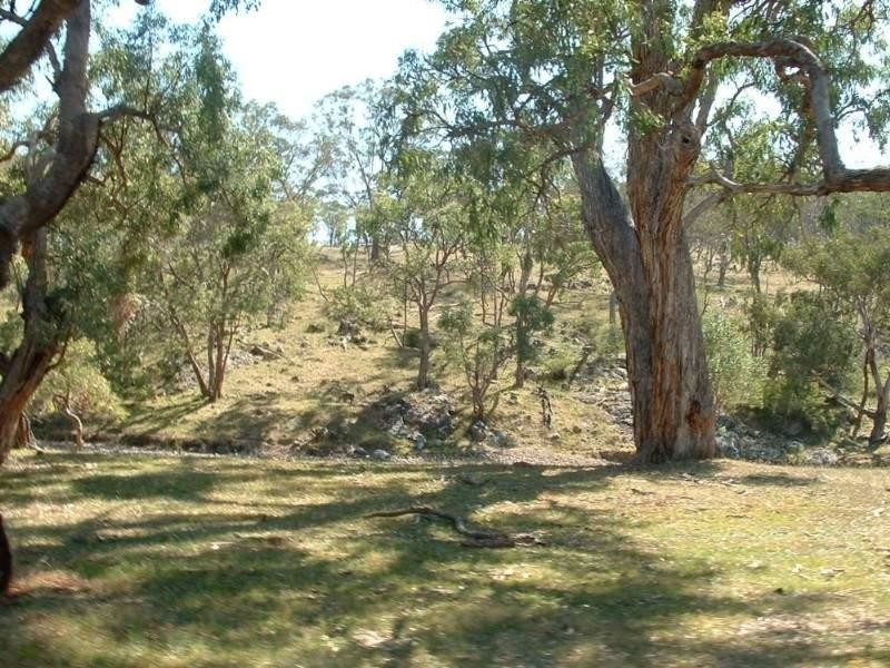 31 Bakers Creek Road, Bundarra NSW 2359