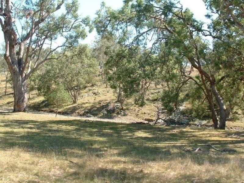 31 Bakers Creek Road, Bundarra NSW 2359