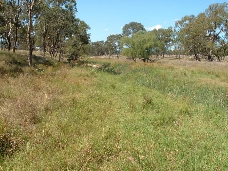 31 Bakers Creek Road, Bundarra NSW 2359