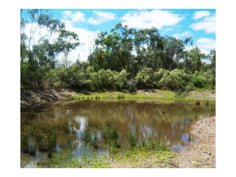 Ashford NSW 2361