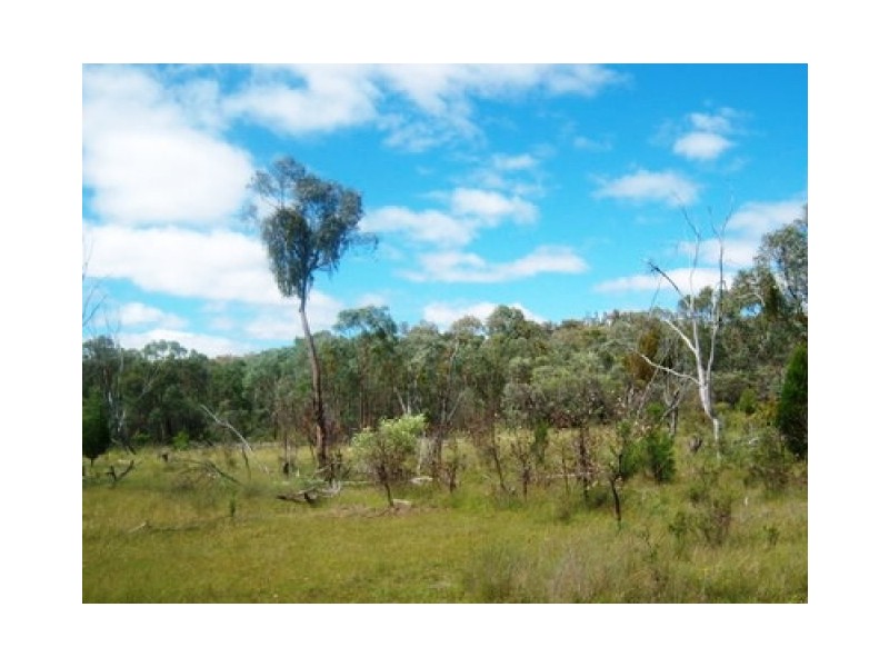 Ashford NSW 2361