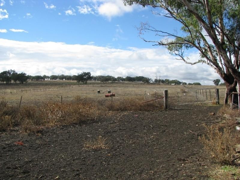 Brodies Plains NSW 2360