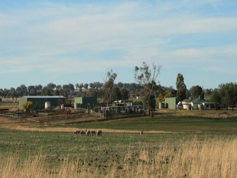 Inverell NSW 2360