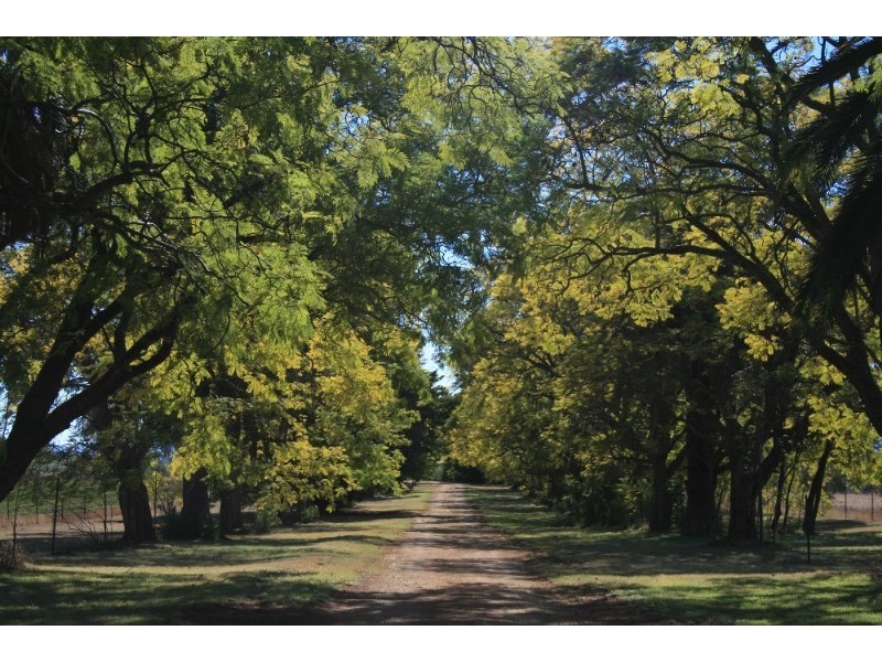 Mount Russell NSW 2360