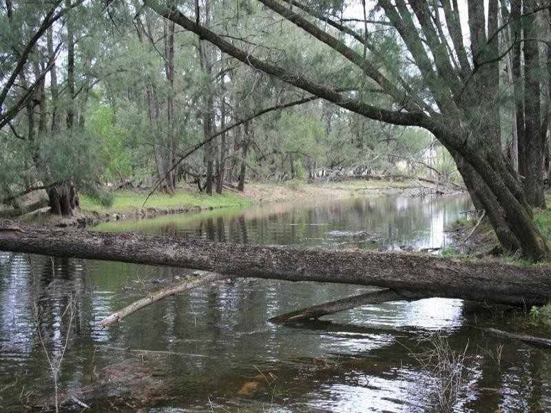 597 Black Mountain, Bundarra Road, Barraba NSW 2347