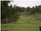 597 Black Mountain, Bundarra Road, Barraba NSW 2347
