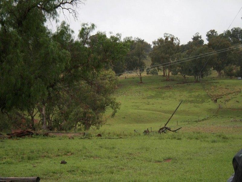 597 Black Mountain, Bundarra Road, Barraba NSW 2347
