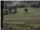 597 Black Mountain, Bundarra Road, Barraba NSW 2347