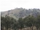 597 Black Mountain, Bundarra Road, Barraba NSW 2347