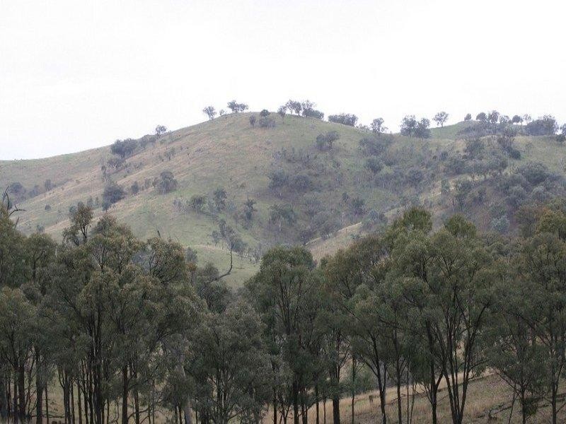 597 Black Mountain, Bundarra Road, Barraba NSW 2347