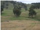 597 Black Mountain, Bundarra Road, Barraba NSW 2347