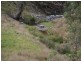 597 Black Mountain, Bundarra Road, Barraba NSW 2347