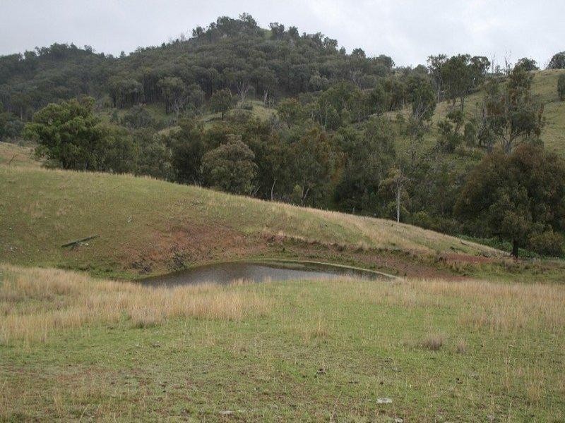 597 Black Mountain, Bundarra Road, Barraba NSW 2347