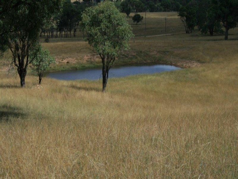 52 Dawkins Street, Bundarra NSW 2359