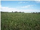 Delungra NSW 2403