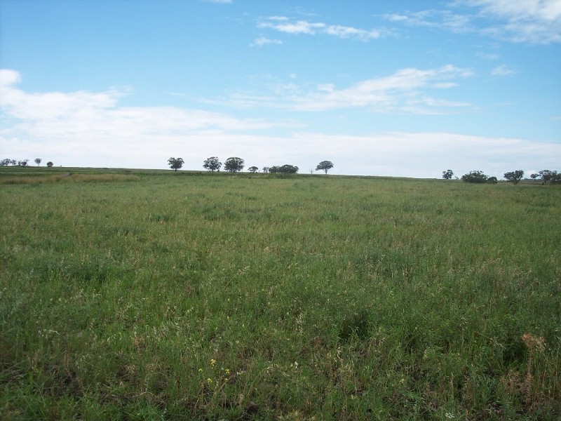 Delungra NSW 2403
