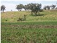 Delungra NSW 2403