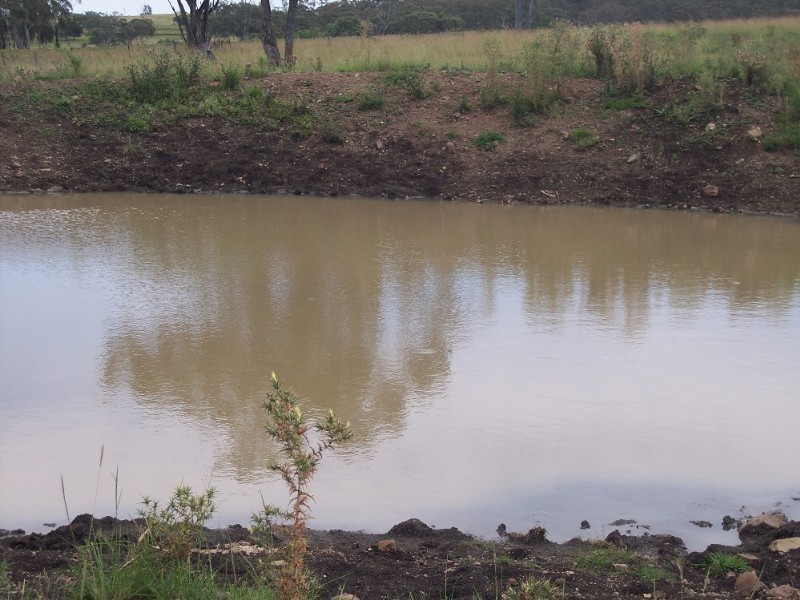 Delungra NSW 2403