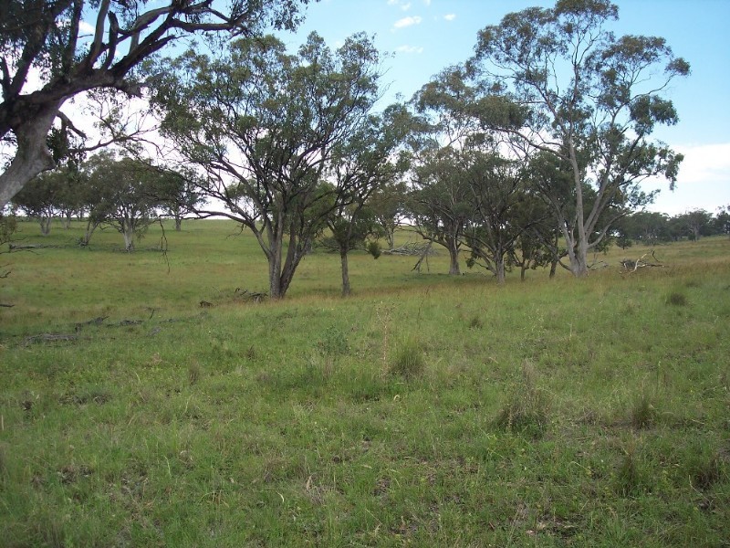 Delungra NSW 2403