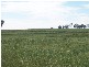 Delungra NSW 2403