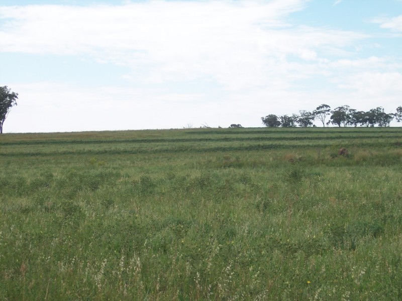 Delungra NSW 2403