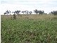 Delungra NSW 2403