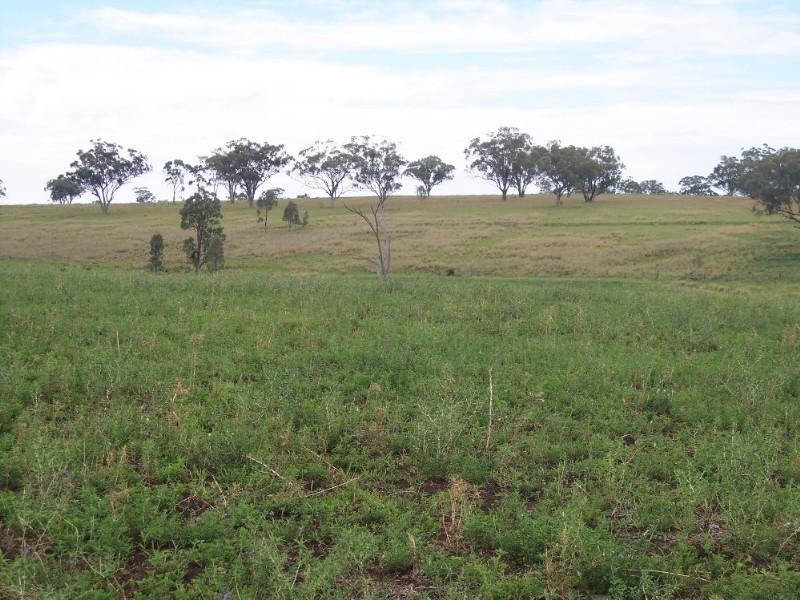 Delungra NSW 2403