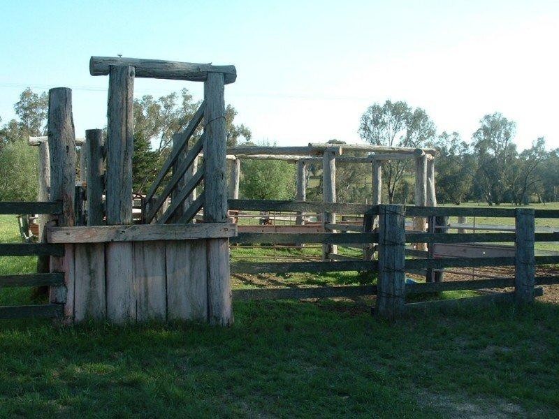 Riverview Bingara Road, Bundarra NSW 2359