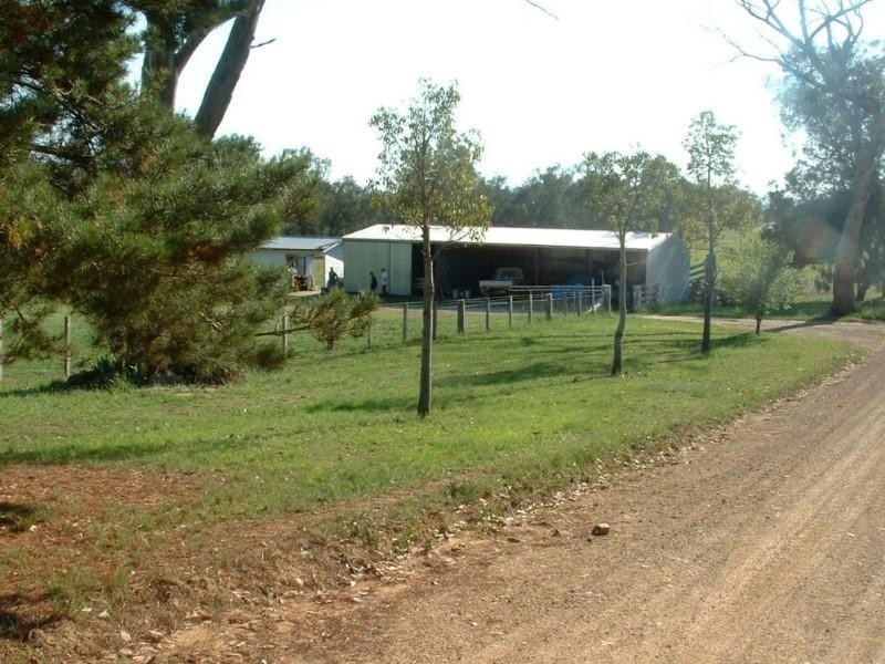 Riverview Bingara Road, Bundarra NSW 2359