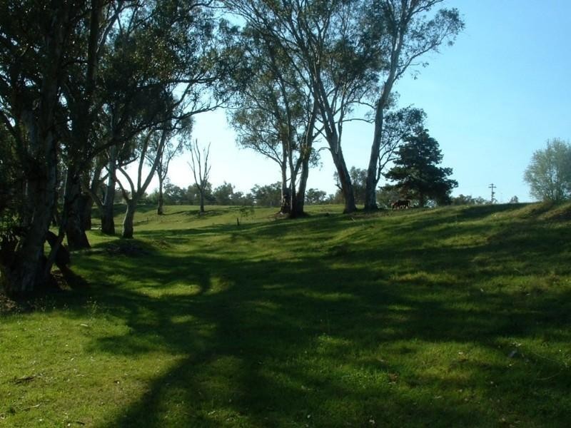Riverview Bingara Road, Bundarra NSW 2359