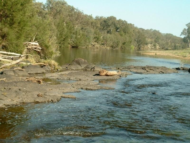 Riverview Bingara Road, Bundarra NSW 2359