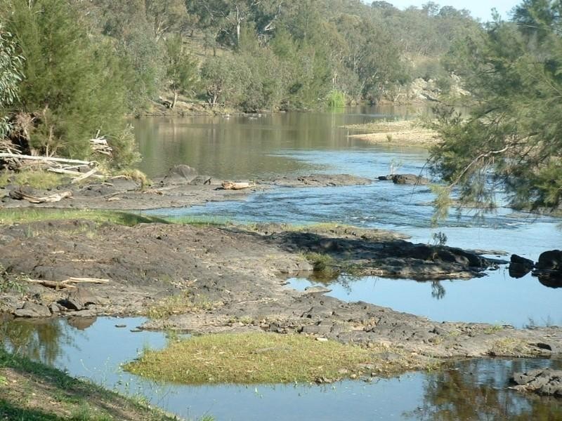 Riverview Bingara Road, Bundarra NSW 2359