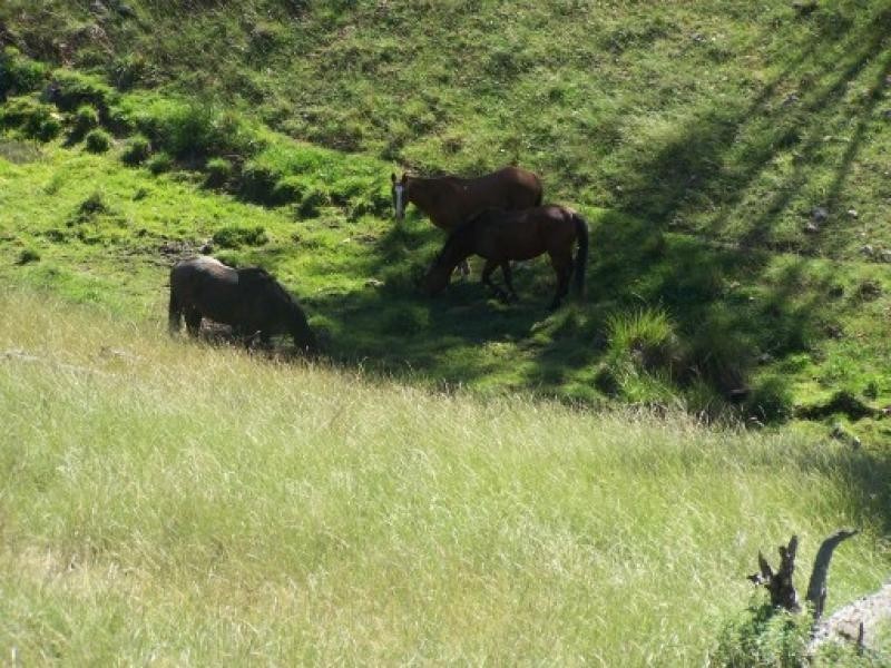 Weona Barraba Road, Bundarra NSW 2359