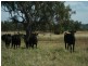 Bingara NSW 2404