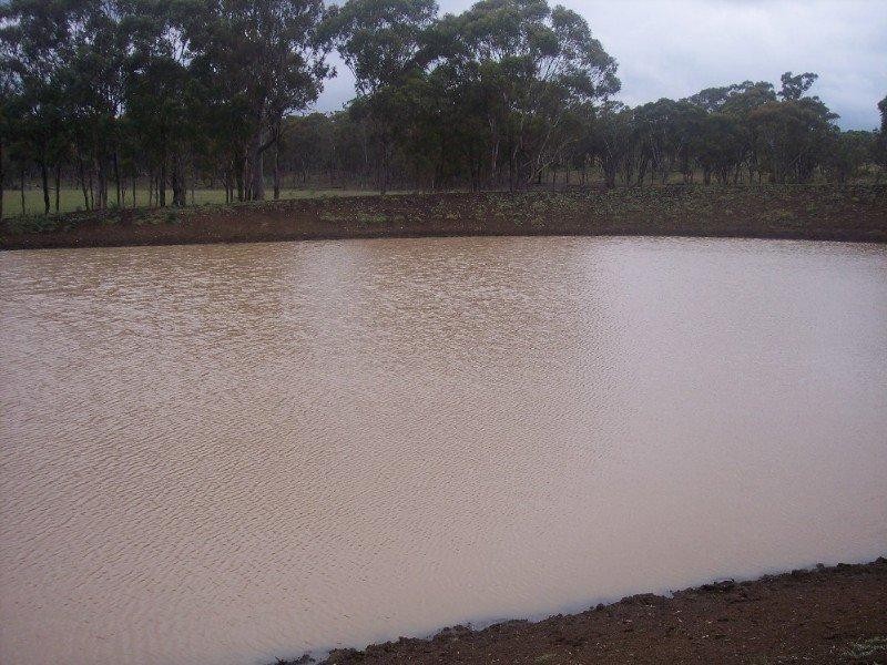Emmaville NSW 2371