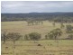 Emmaville NSW 2371