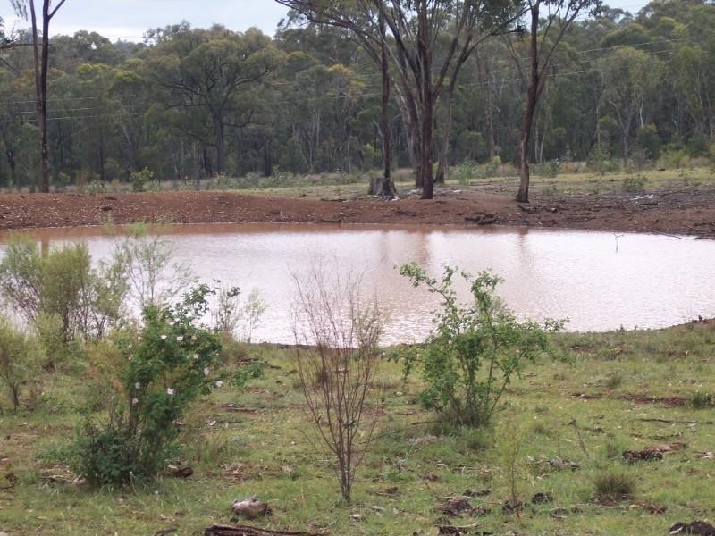 Emmaville NSW 2371
