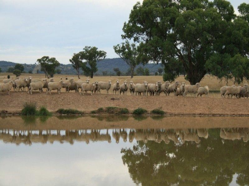 471 Thunderbolts Way, Bundarra NSW 2359