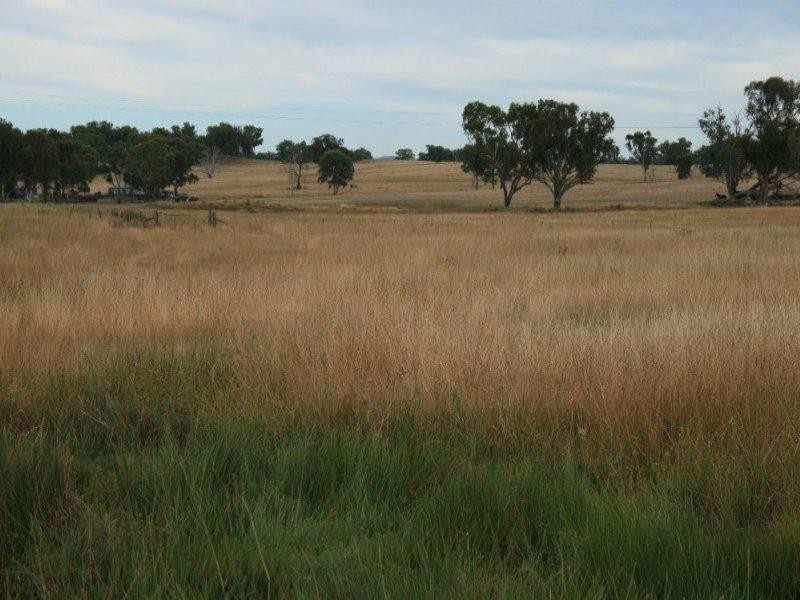 471 Thunderbolts Way, Bundarra NSW 2359