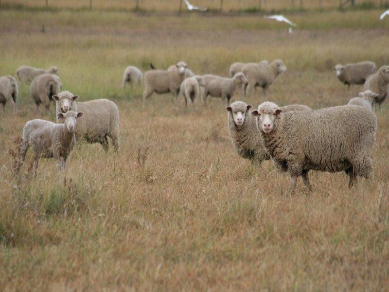 471 Thunderbolts Way, Bundarra NSW 2359