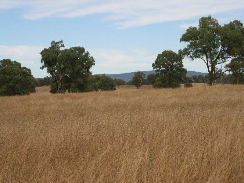 471 Thunderbolts Way, Bundarra NSW 2359