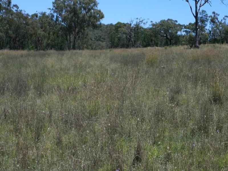 Delungra NSW 2403