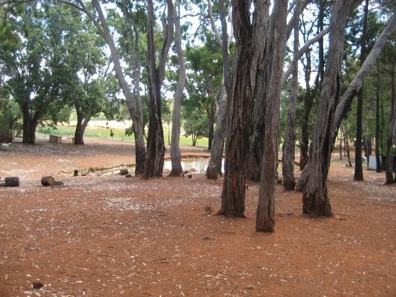 Gilgai NSW 2360